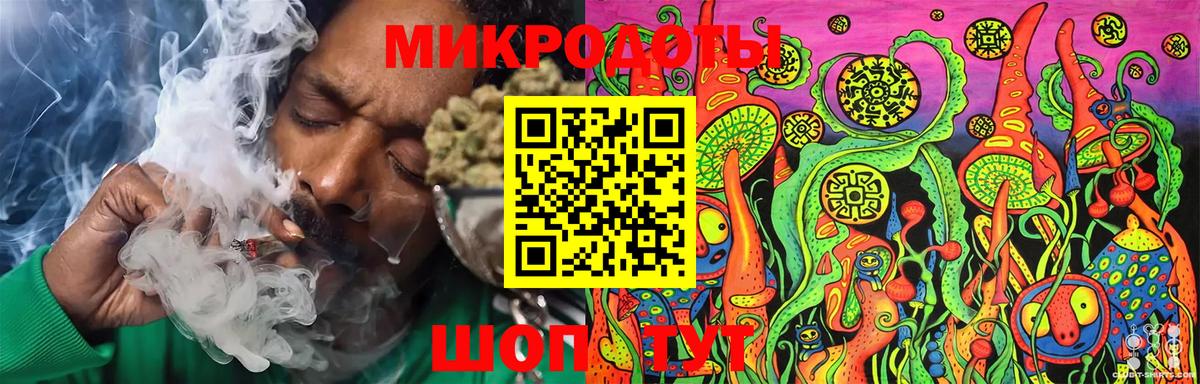Псилоцибиновые грибы MAGIC MUSHROOMS Камышлов