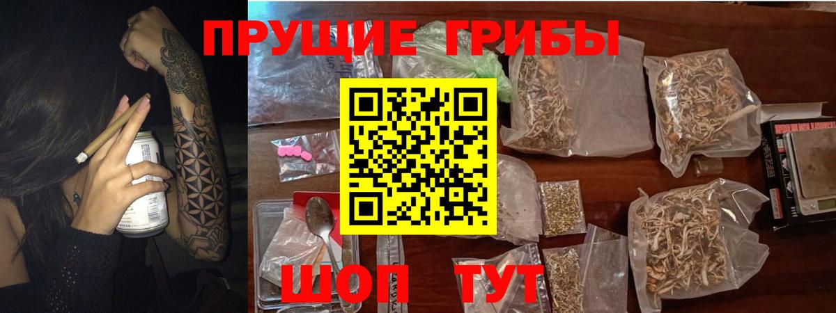 Галлюциногенные грибы мухоморы  закладки  Камышлов  Вход с VPN 